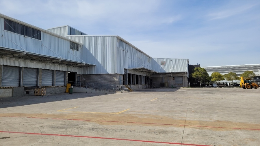 To Let Commercial Property for Rent in Montague Gardens Western Cape